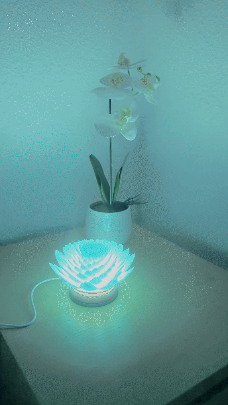 Lotus Lamp