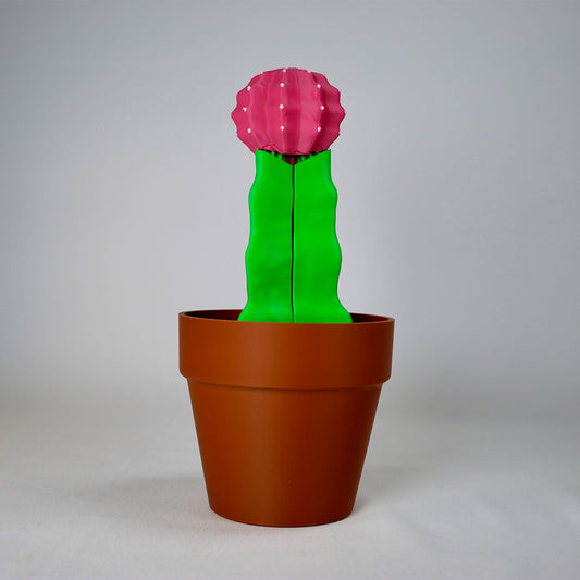 Cactus del titolare mobile