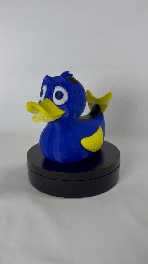 Dory Duck