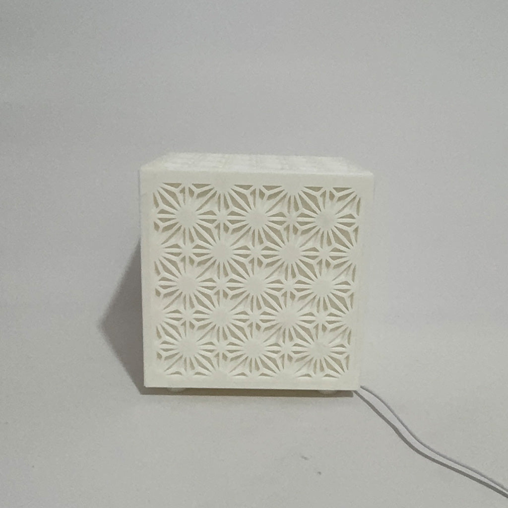 Riquadro della lampada tradizionale asiatico