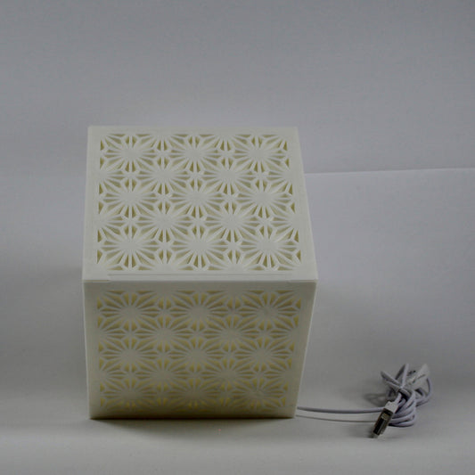 Riquadro della lampada tradizionale asiatico