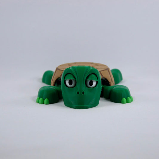 Turtle Coaster