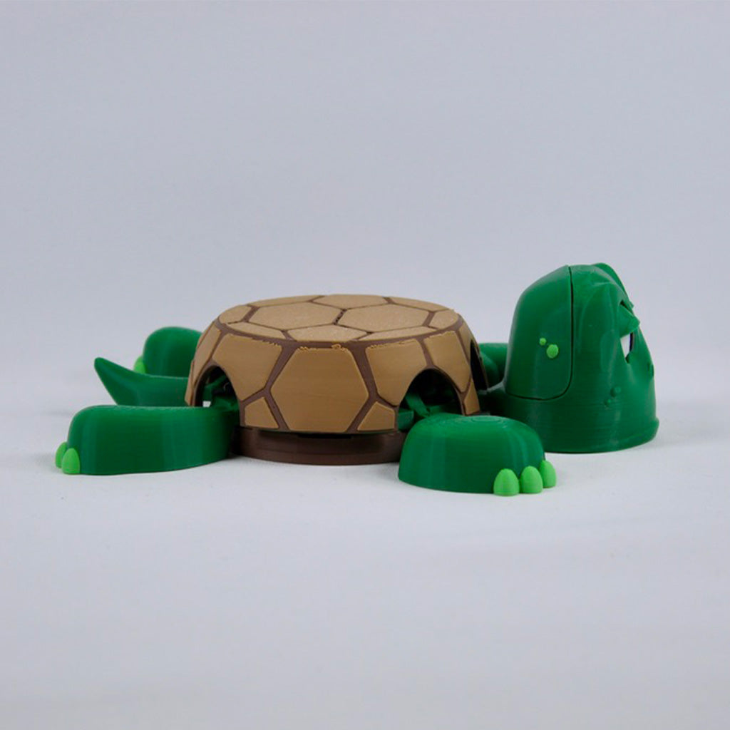 Turtle Coaster