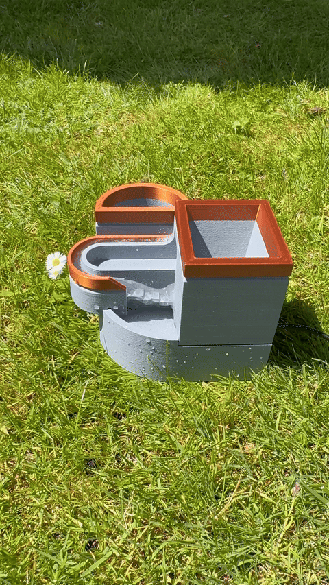 Fountain - Form and Follage