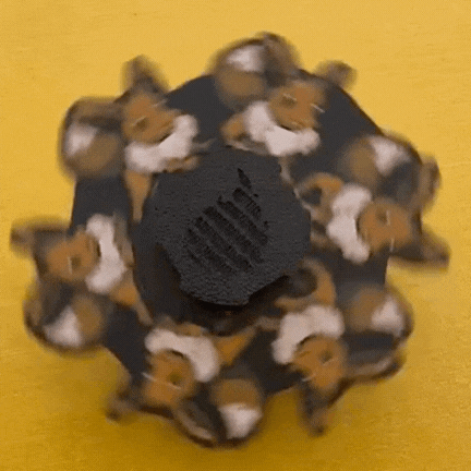 Zoetrope Spinner - Eevee Hueforge