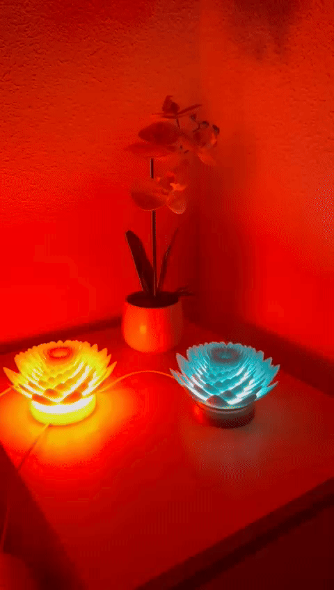 Lotus Lamp