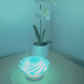 Lotus Lamp