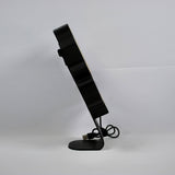 Grynffindor House Lamp