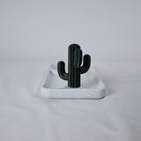 Pocket Emptier Cactus