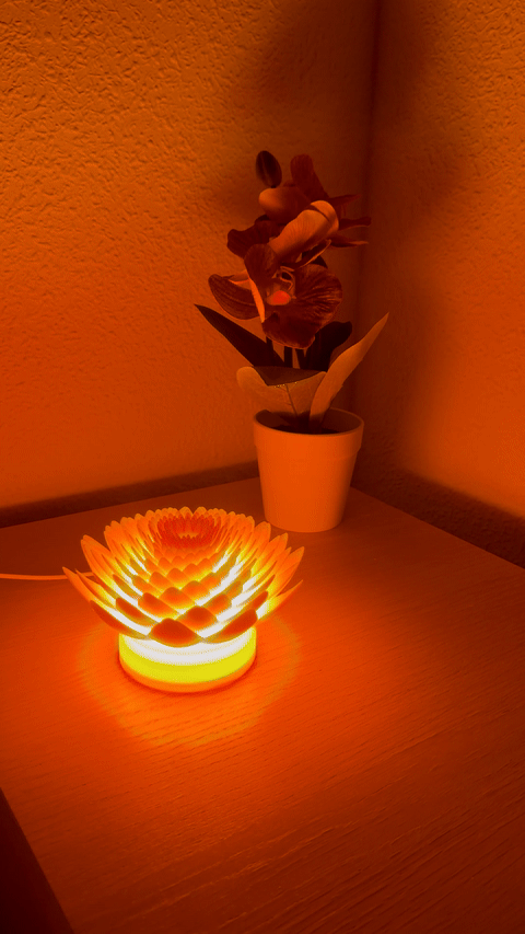 Lotus Lamp
