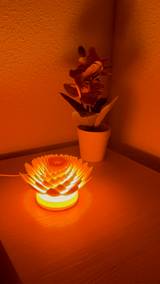 Lotus Lamp