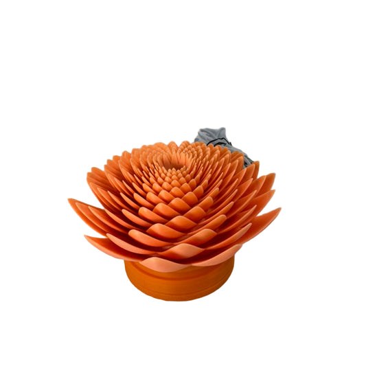 Lotus Lamp