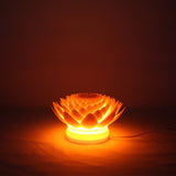 Lotus Lamp