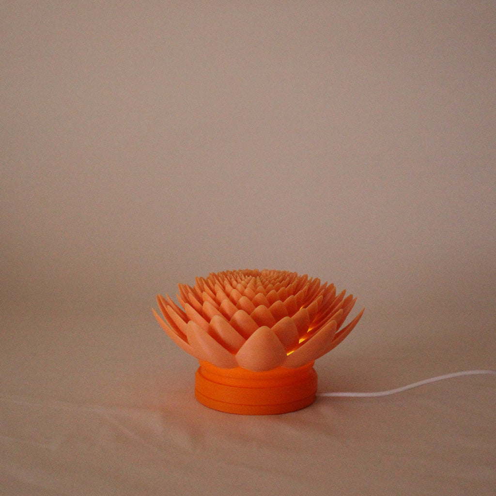 Lotus Lamp