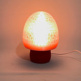 Magic Mushroom Lamp Head