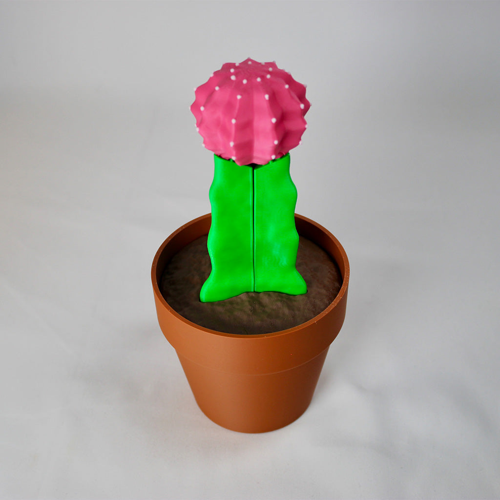 Mobile Holder Cactus
