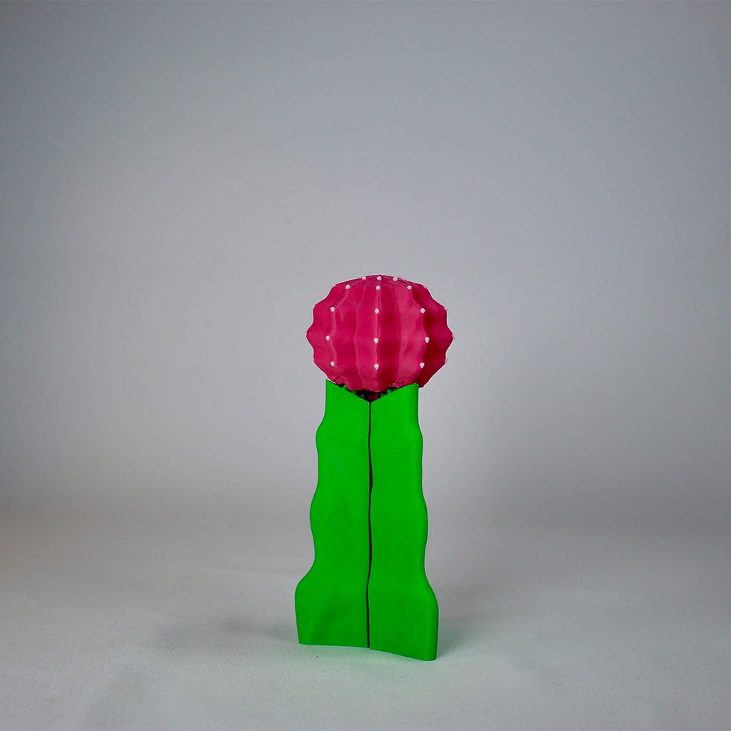 Mobile Holder Cactus