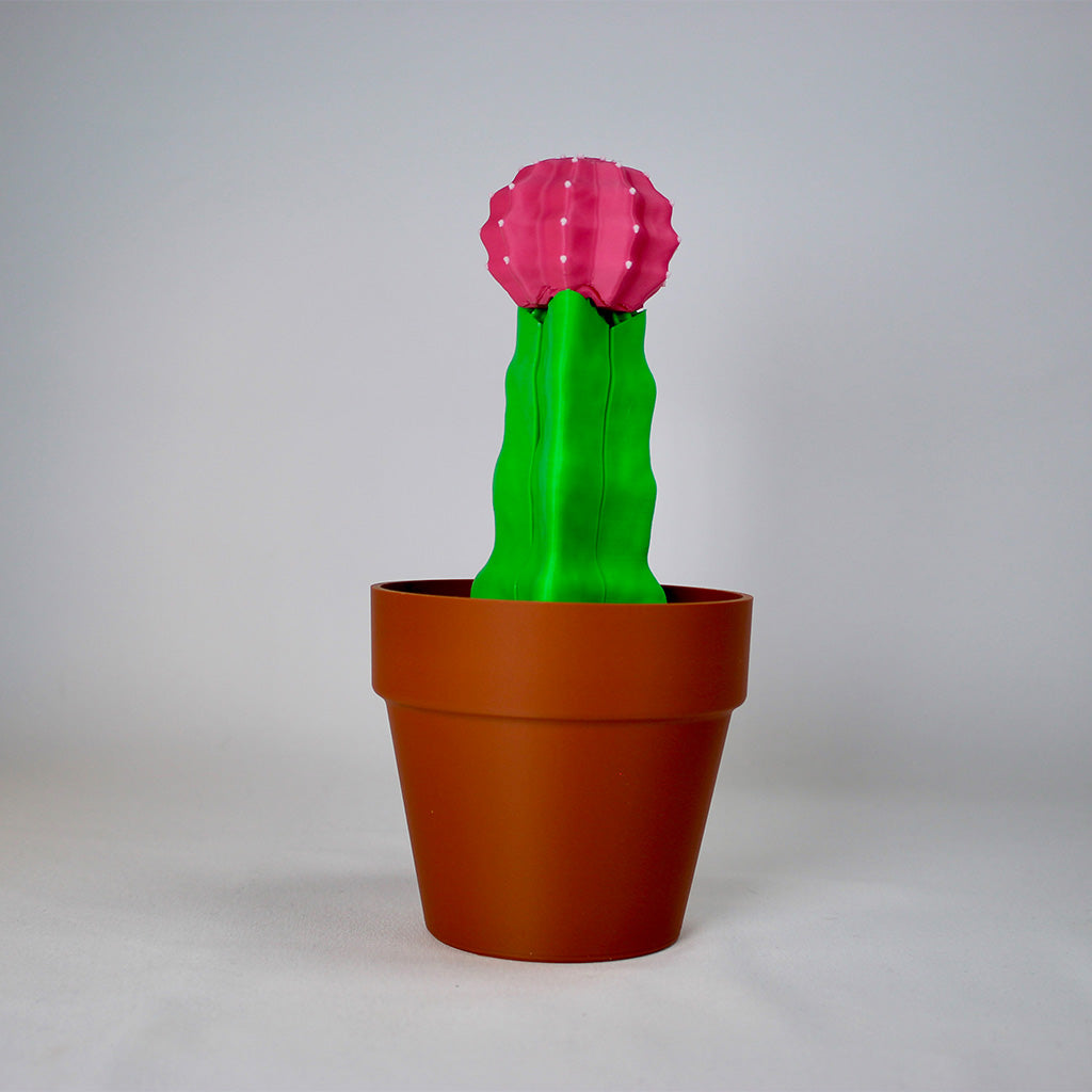 Mobile Holder Cactus