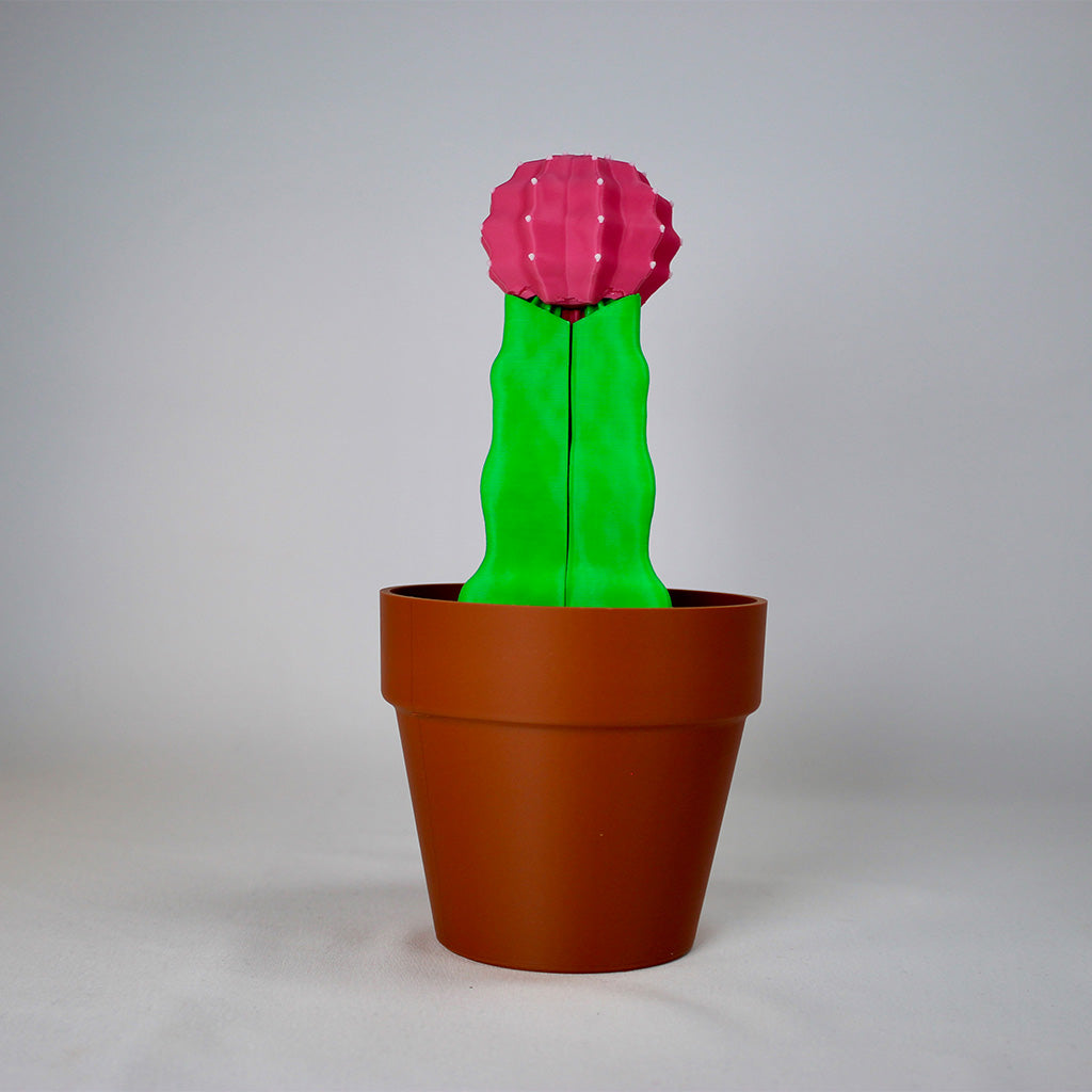 Mobile Holder Cactus