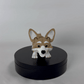 Articulated Dog - Weish Corgi