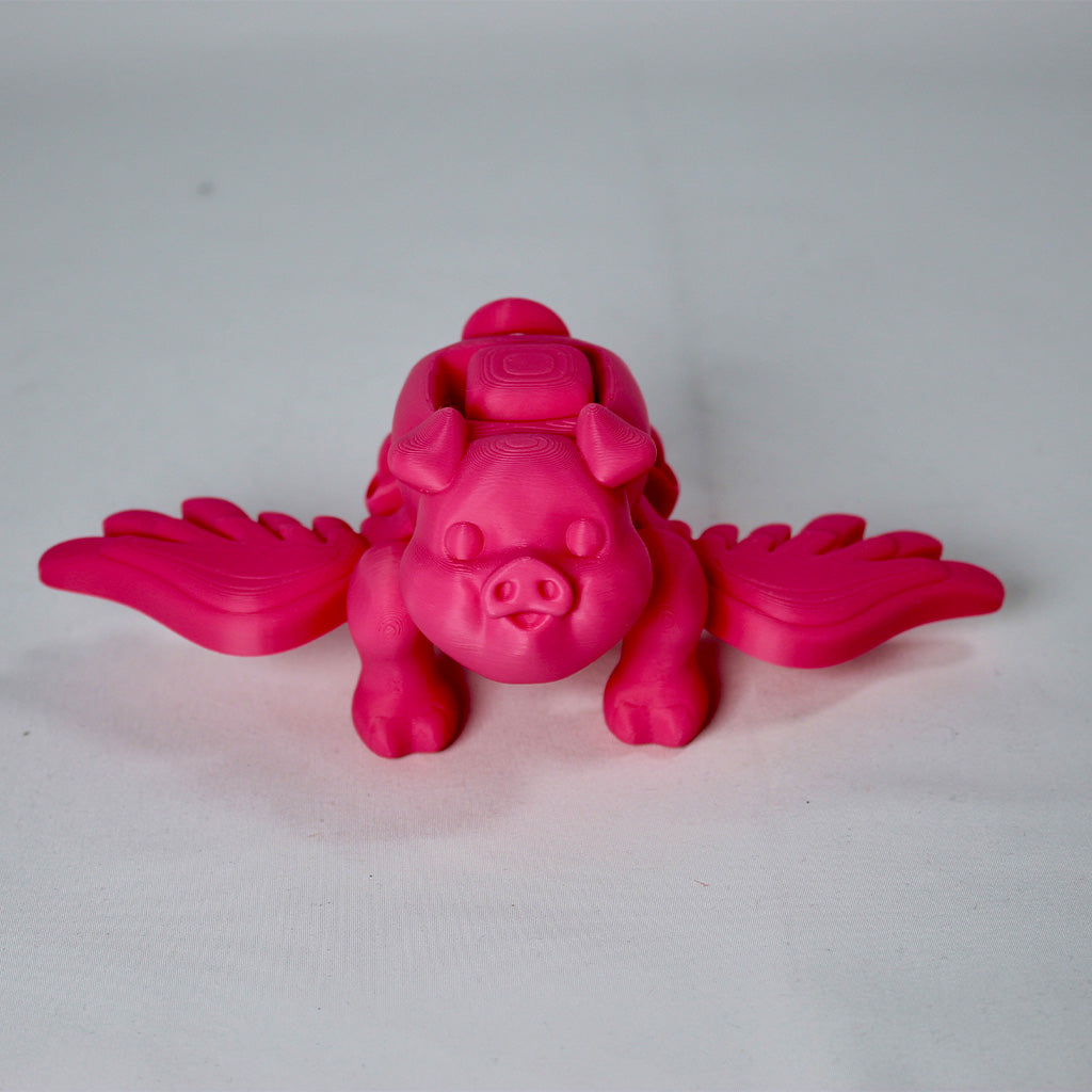 Flying Pig