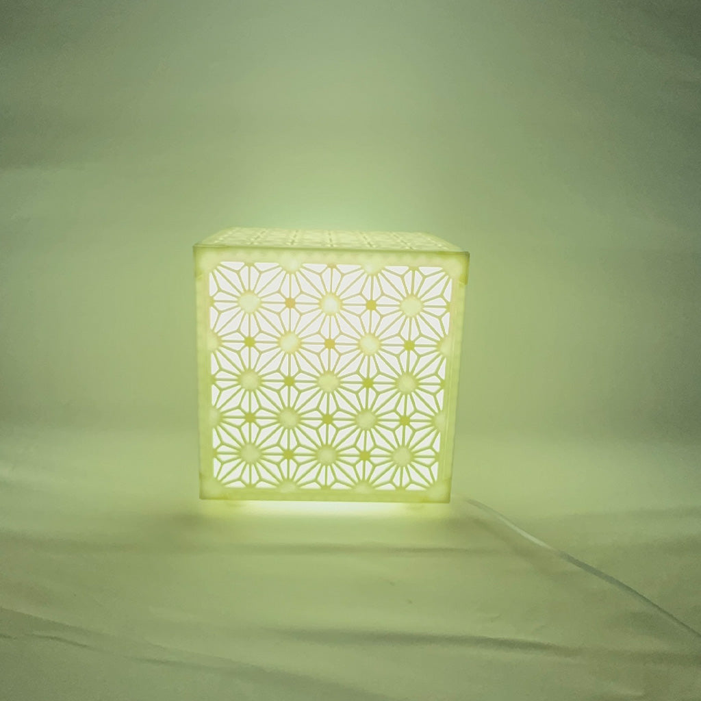 Asian Traditional Lamp Pane