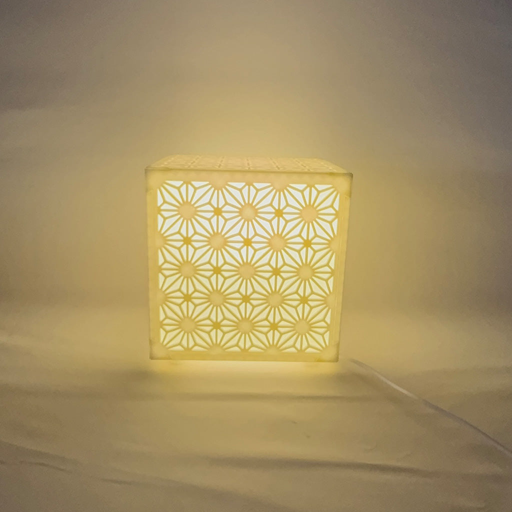 Asian Traditional Lamp Pane