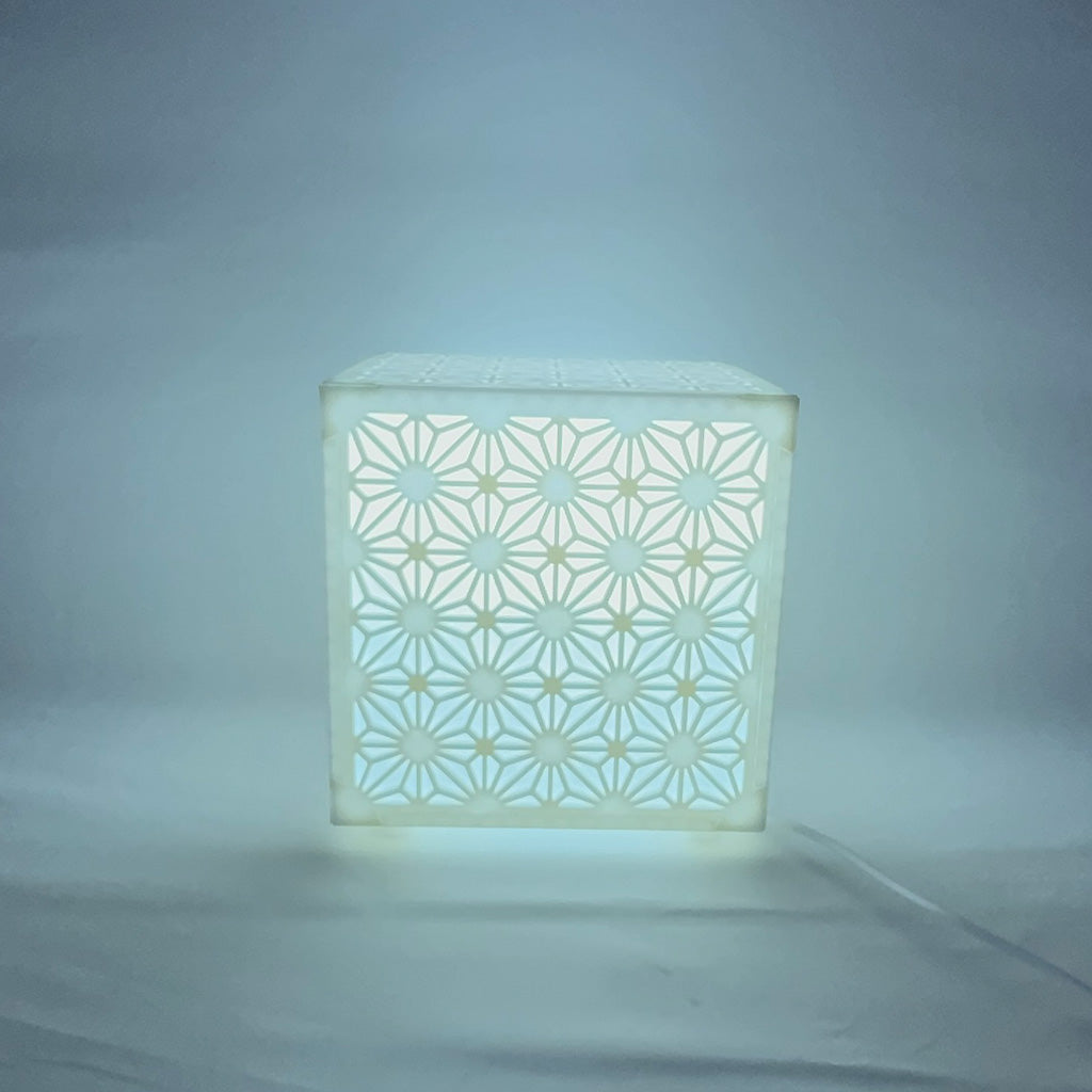 Asian Traditional Lamp Pane