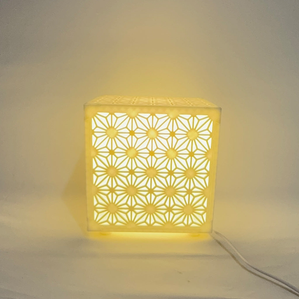 Asian Traditional Lamp Pane