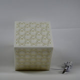 Asian Traditional Lamp Pane
