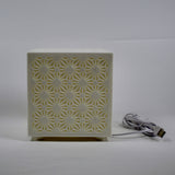 Asian Traditional Lamp Pane