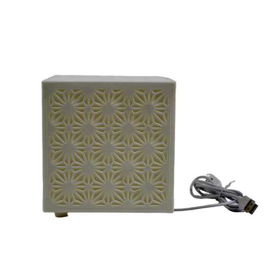 Asian Traditional Lamp Pane