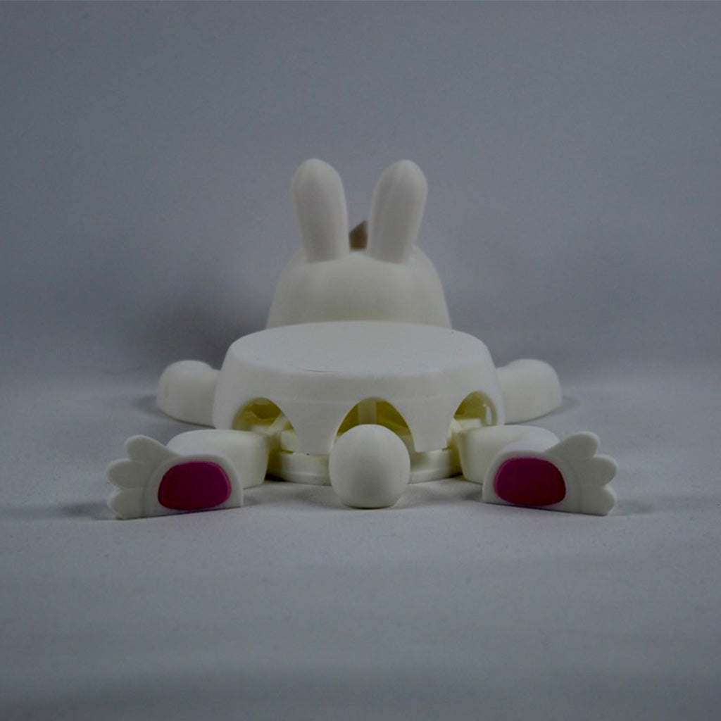 Rabbit Coaster