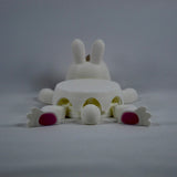 Rabbit Coaster