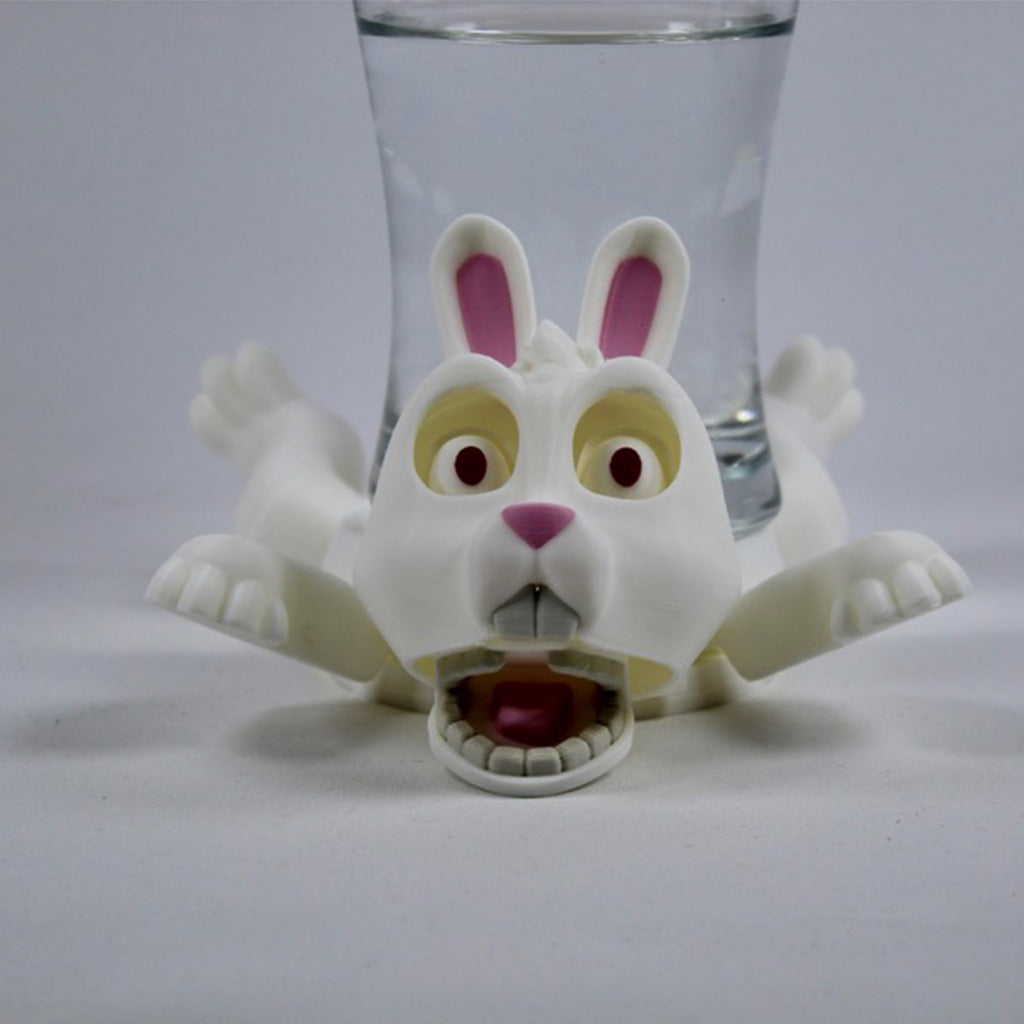 Rabbit Coaster