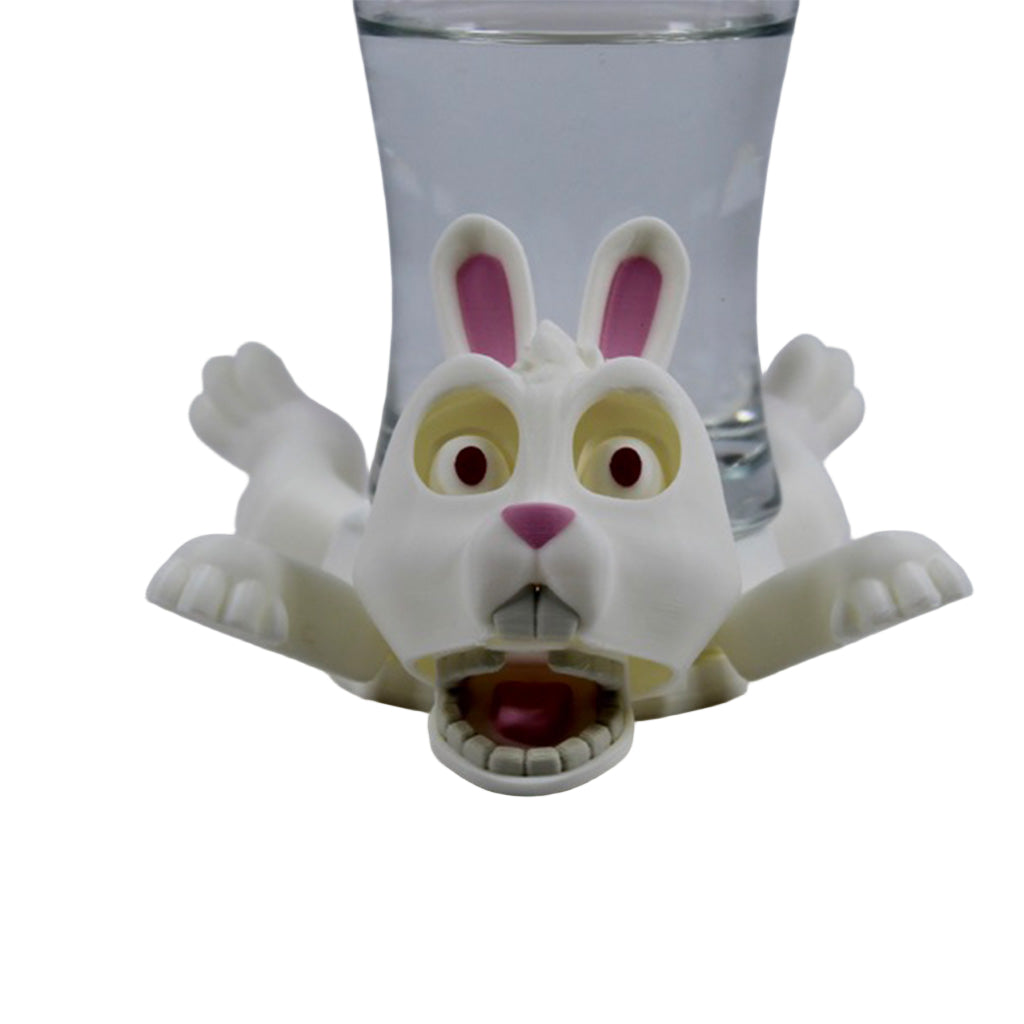Rabbit Coaster