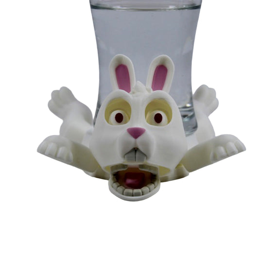 Rabbit Coaster