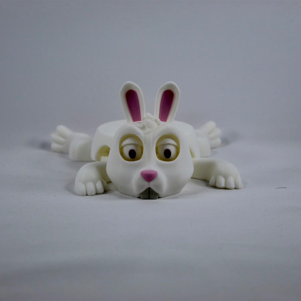 Rabbit Coaster