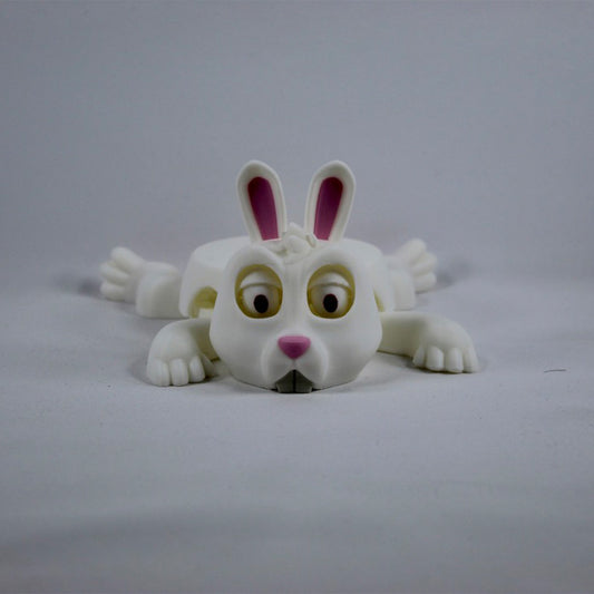 Rabbit Coaster