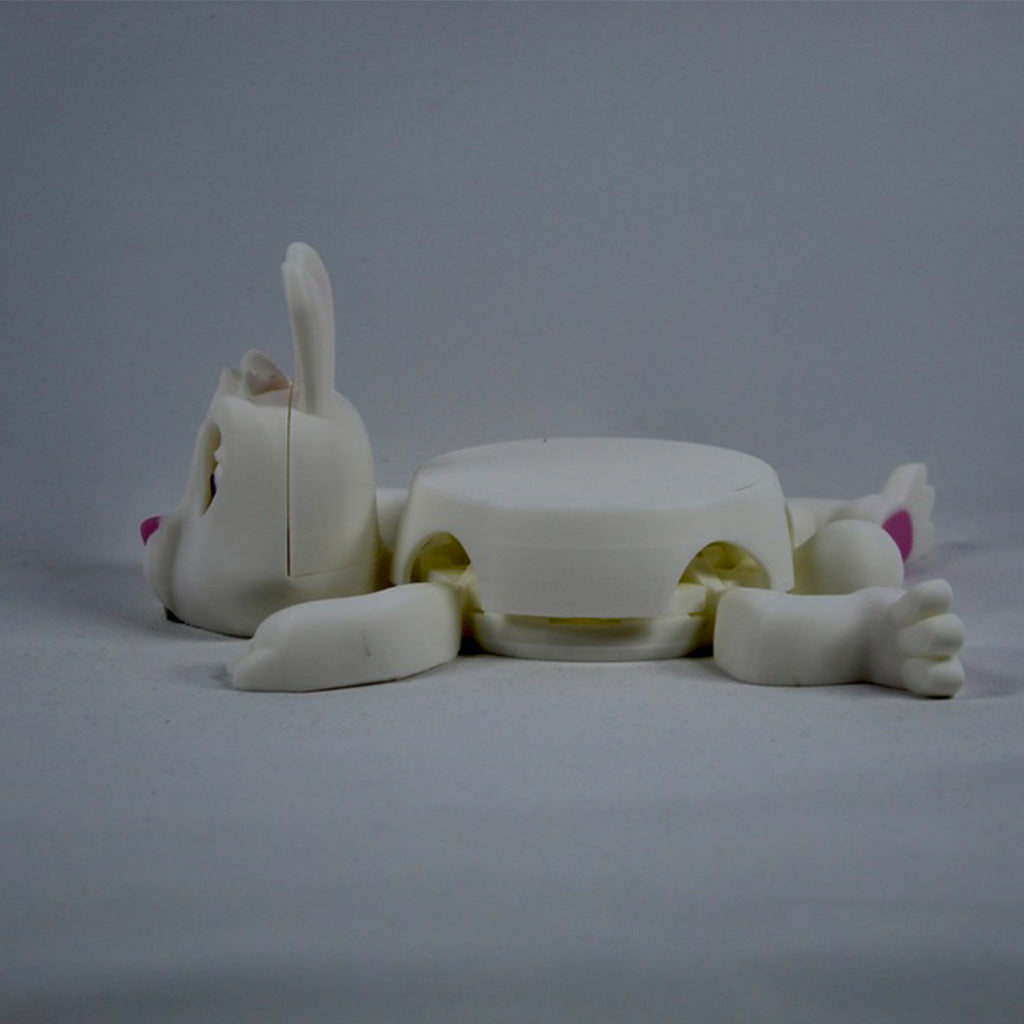 Rabbit Coaster