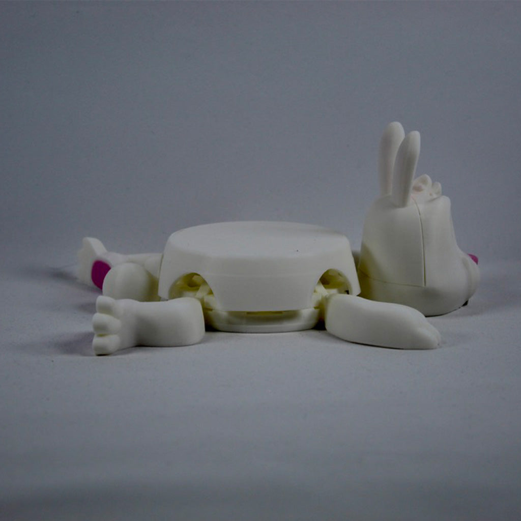Rabbit Coaster