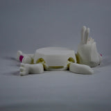 Rabbit Coaster