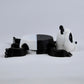 Panda Coaster