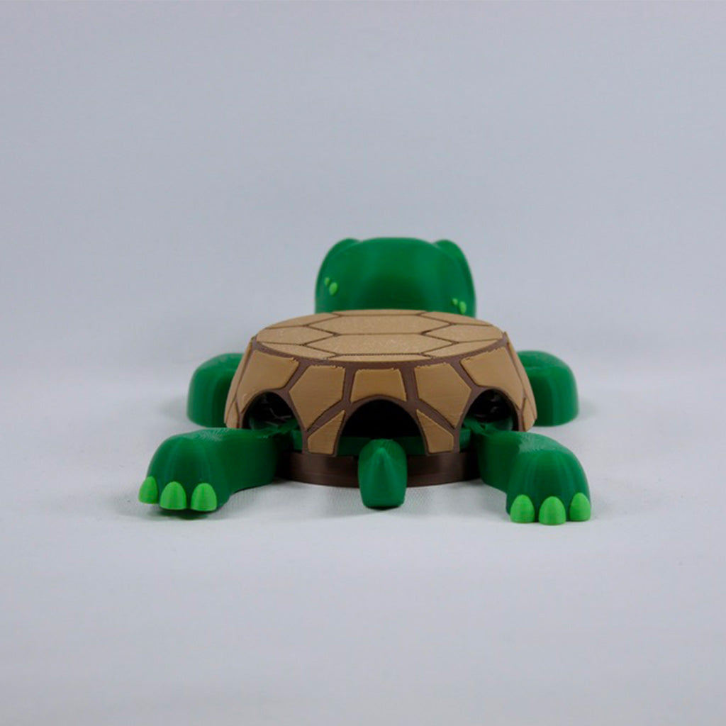 Turtle Coaster