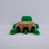 Turtle Coaster