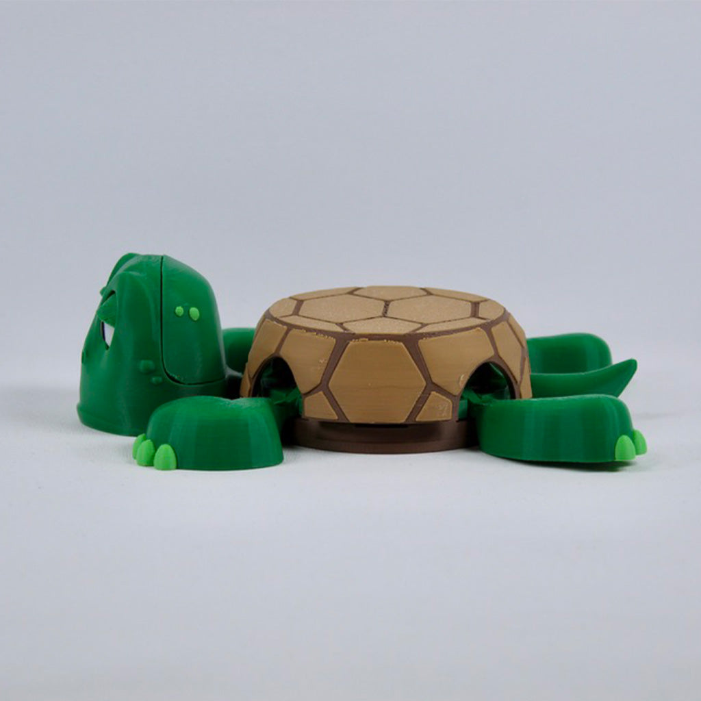 Turtle Coaster
