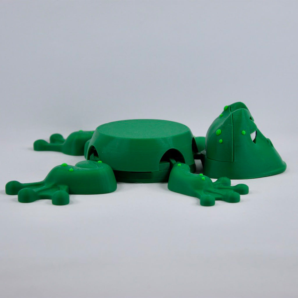 Frog Coaster