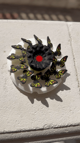 Zoetrope Spinner - Butterfly